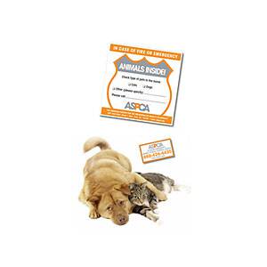 Freebie: Pet Safety Pack From The ASPCA | See Mom Click