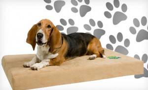 memory foam dog bed