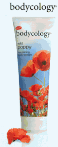 bodycology sample