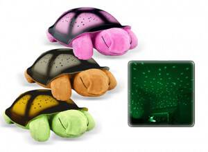 constellation turtle