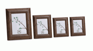frame set