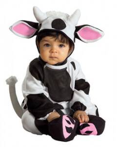 baby cow