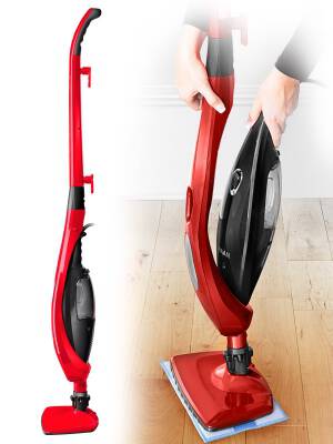 haan power steamer