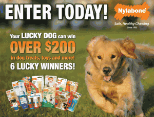 nylabone sweepstakes