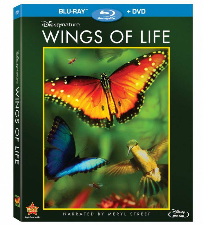 Disneynature Wings Of Life Disneynature Wings Of Life