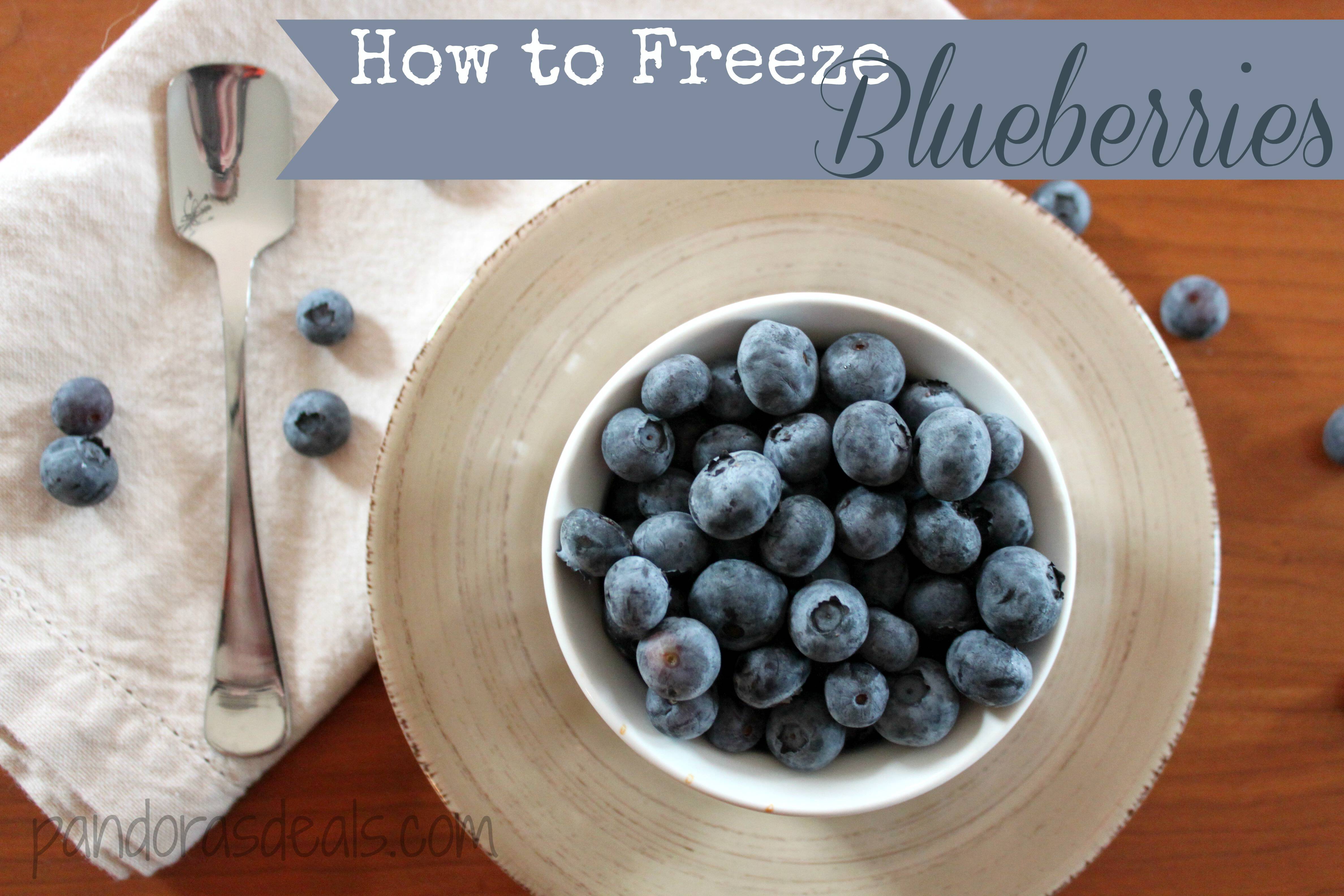 Learn how to freeze blueberries in 4 easy steps. Grab a bunch while they're cheap and in-season and freeze them for use over the winter. Great for baking!