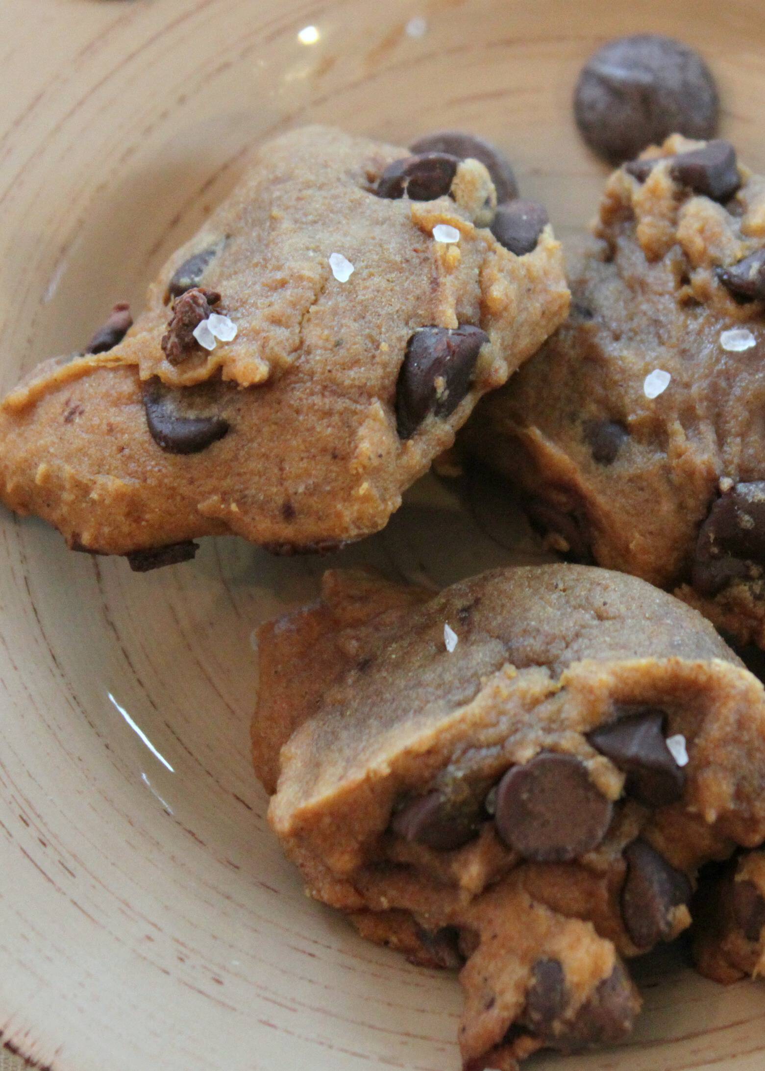 Pumpkin Chocolate Chip Cookies Sea Salt Pandora's Deals