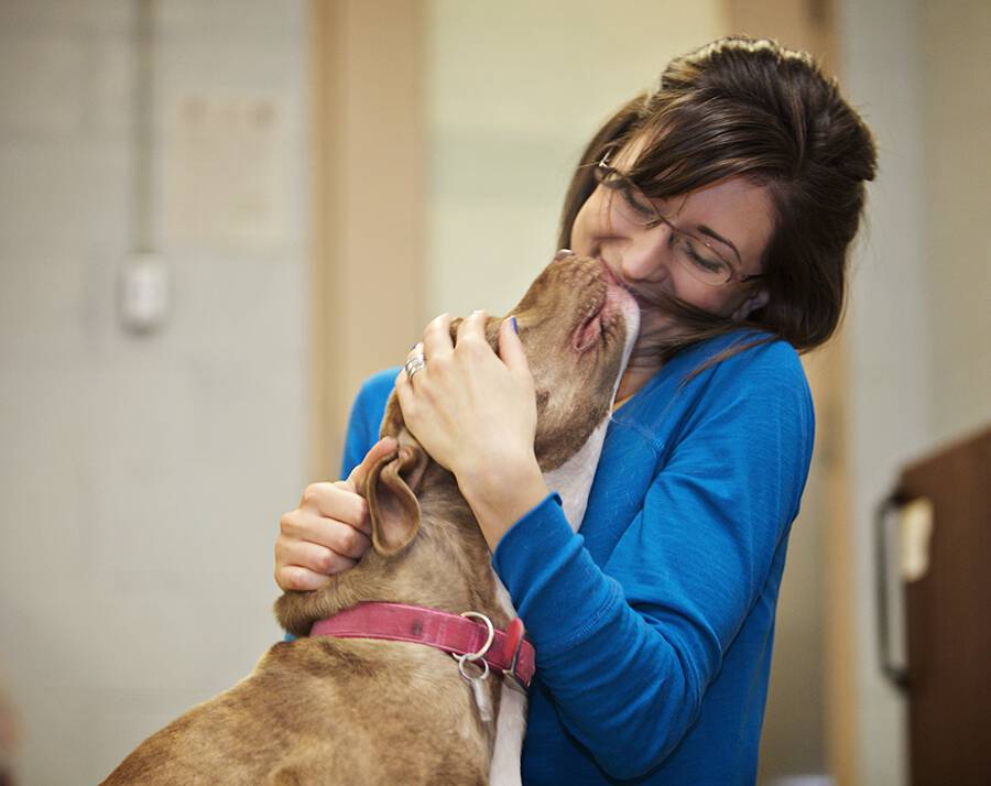 Humane League of Lancaster County Pet of the Week