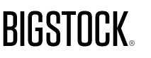 Bigstock Photo Logo