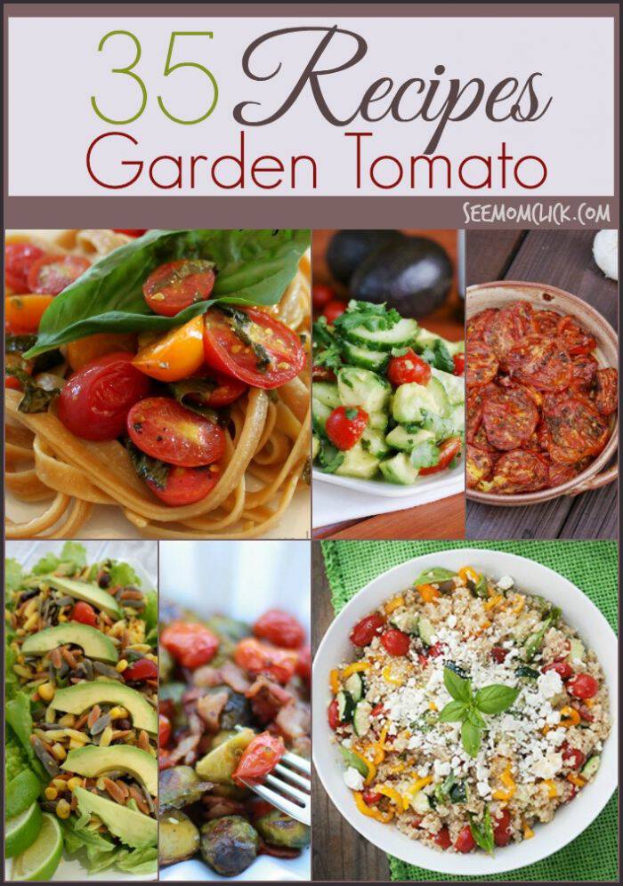 The best thing about gardening? All that free produce in your backyard! We are drowning in tomatoes by late summer so I am loving all of these delicious tomato recipes. Easy dinner recipes, appetizers, salads and more.