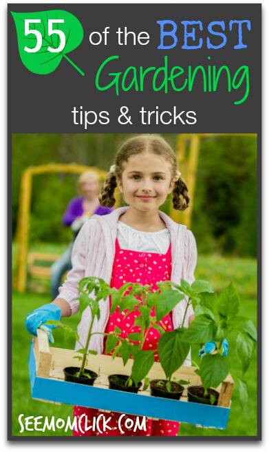 Best Gardening Tips and Tricks