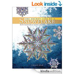 Secret Life of a Snowflake