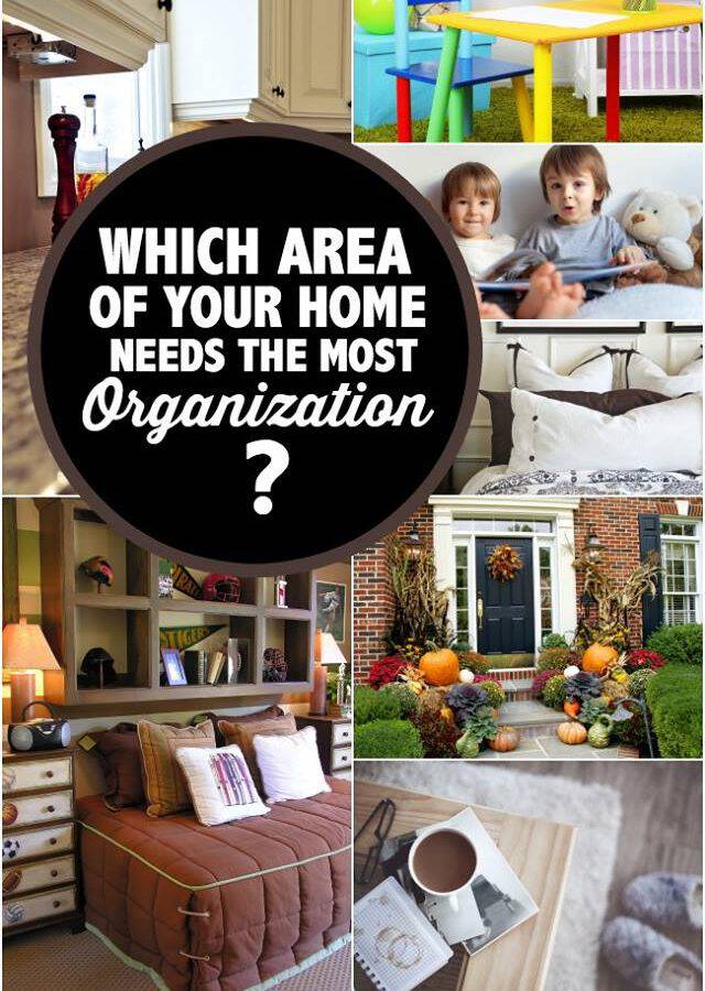 organization