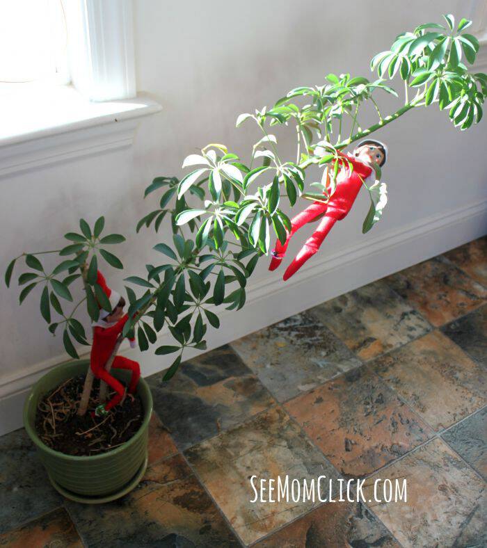 Elf on the Shelf Ideas