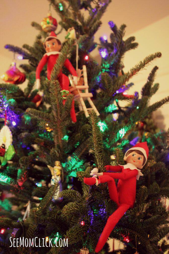 Elf on the Shelf Ideas