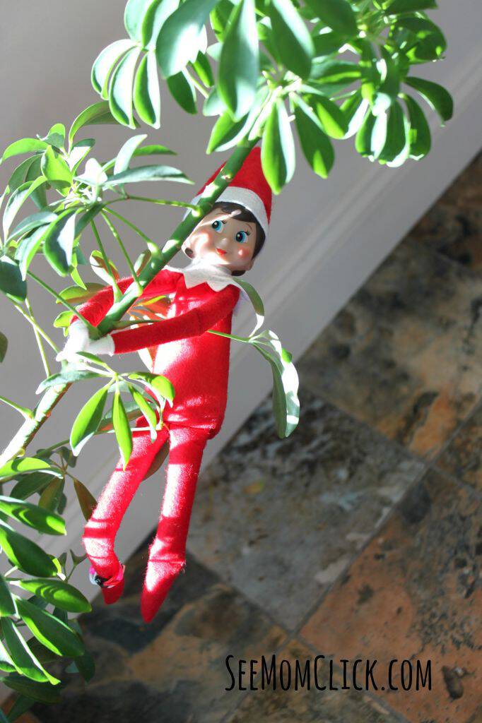 Elf on the Shelf