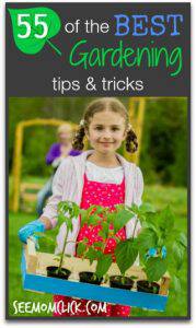 55-Of-the-Best-Gardening-Tips-and-Tricks Creative