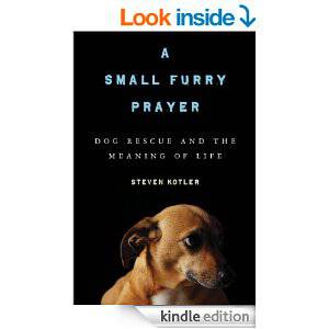 a small furry prayer