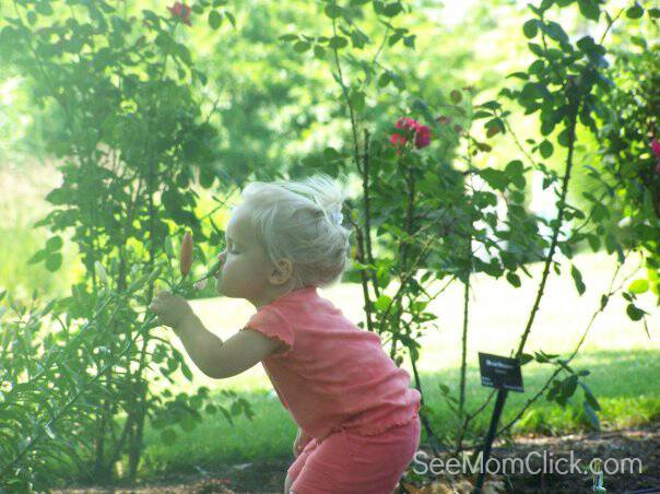 Hershey Gardens is one of the most beautiful places in Central Pennsylvania. The Children's Garden is interactive and educational. Great for families!