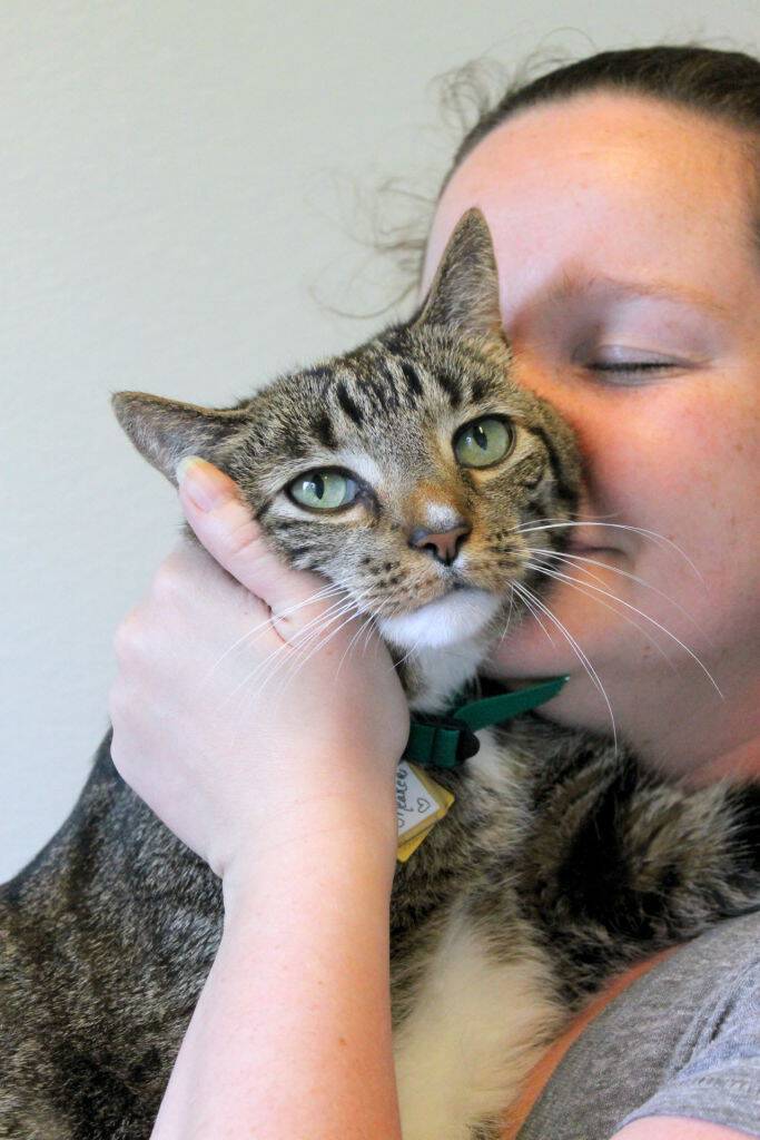 Humane League of Lancaster County