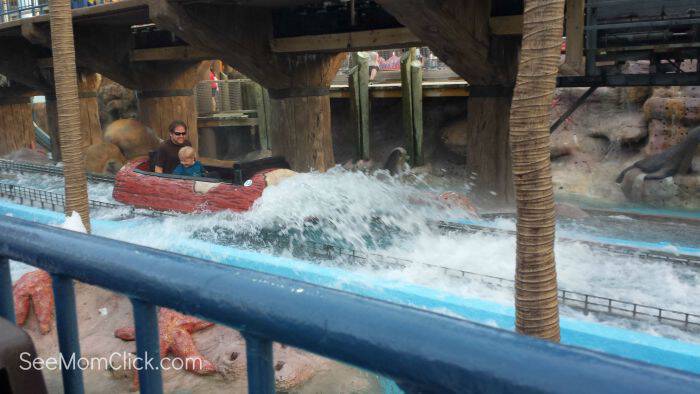 Go Wild At Morey's Piers In Wildwood, NJ - See Mom Click