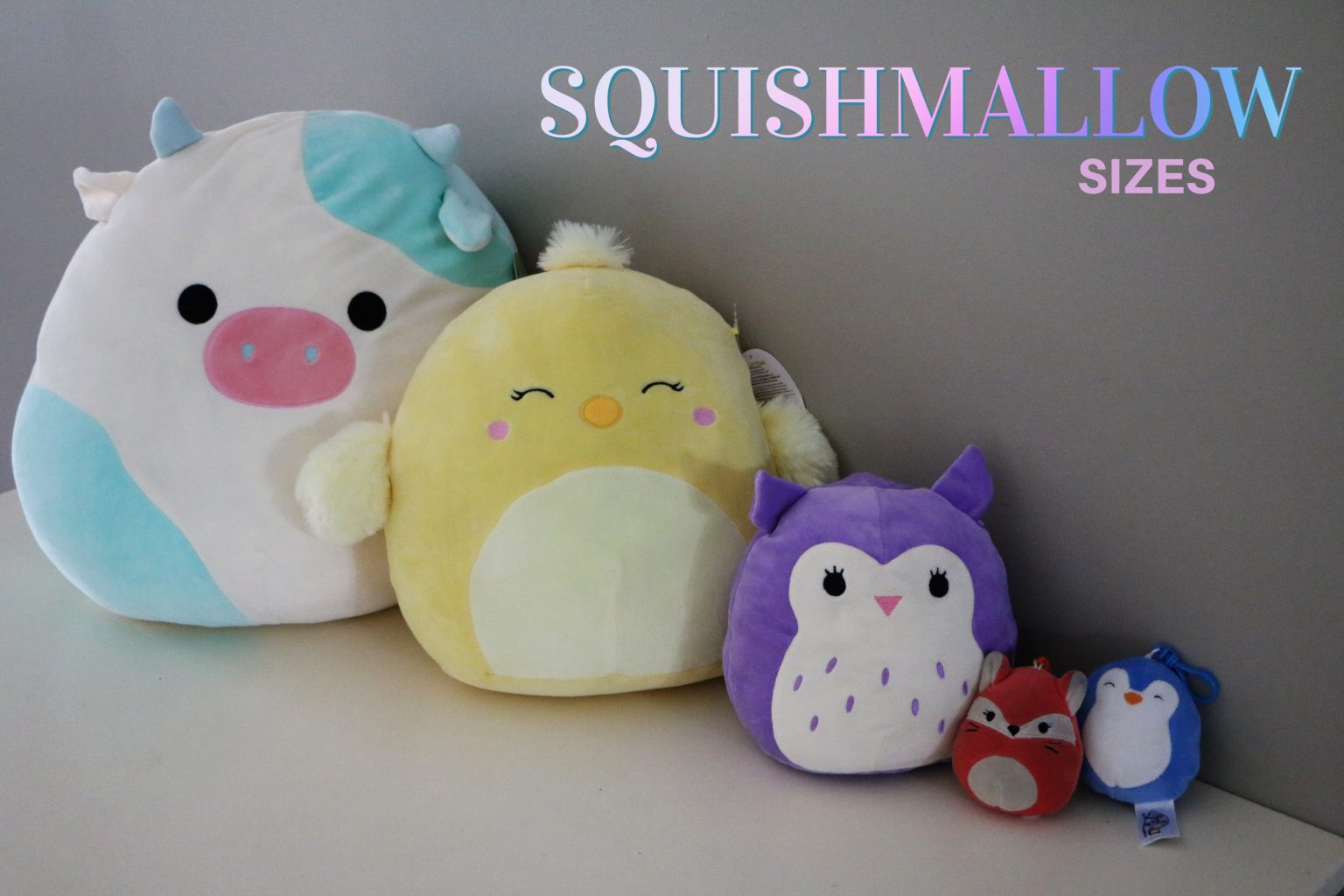 Squishmallows New Characters Care Sizes More See Mom Click