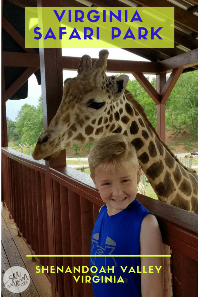 Amazing Animal Interactions at Virginia Safari Park - See ...