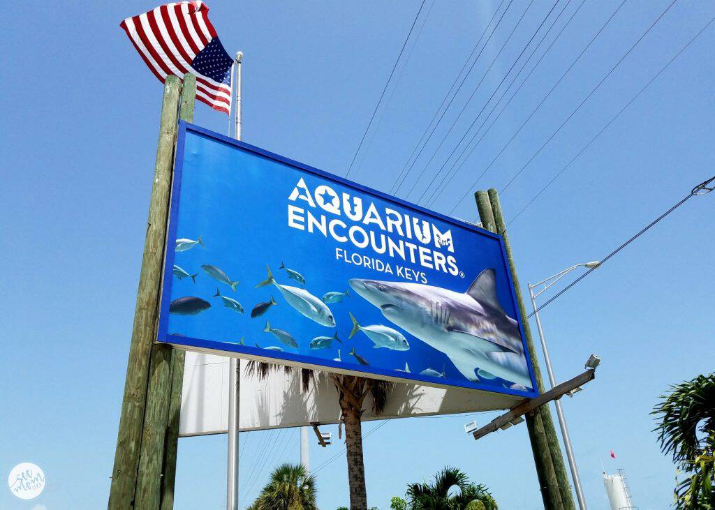 Coral Reef Encounter at Aquarium Encounters Marathon Florida Keys See