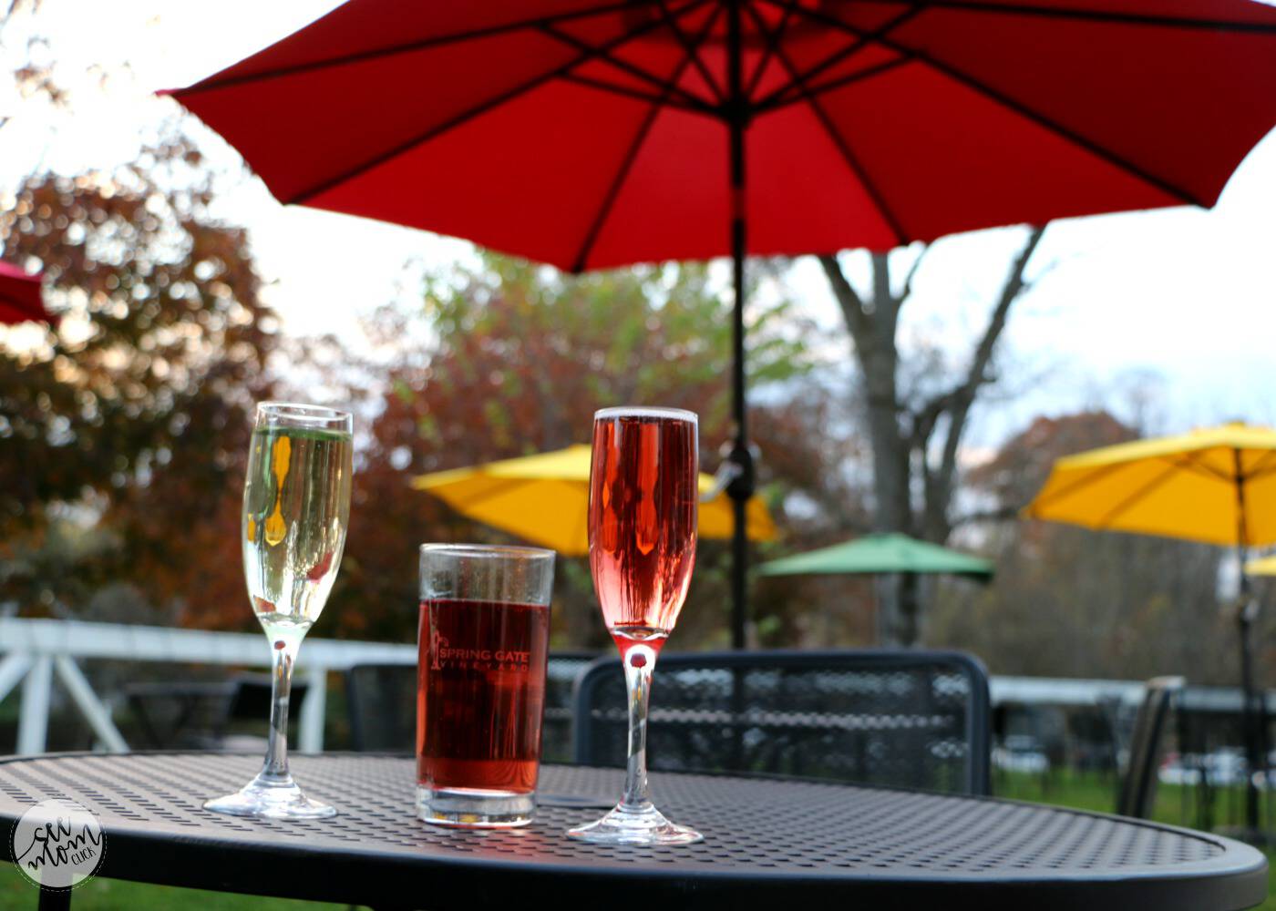 Wineries in Hershey, PA Wineries in Harrisburg To Visit With Your Friends