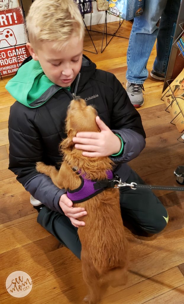 TreeTrekkers Frederick MD Outdoor Adventure Park See Mom Click