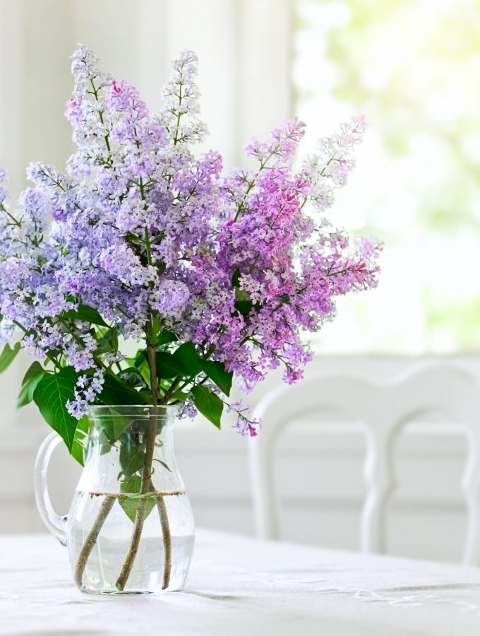 home and family clear vase filled with lilacs