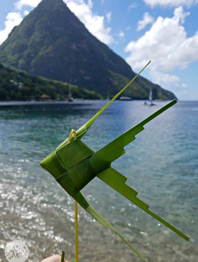 travel fish made of reeds against water and a mountain