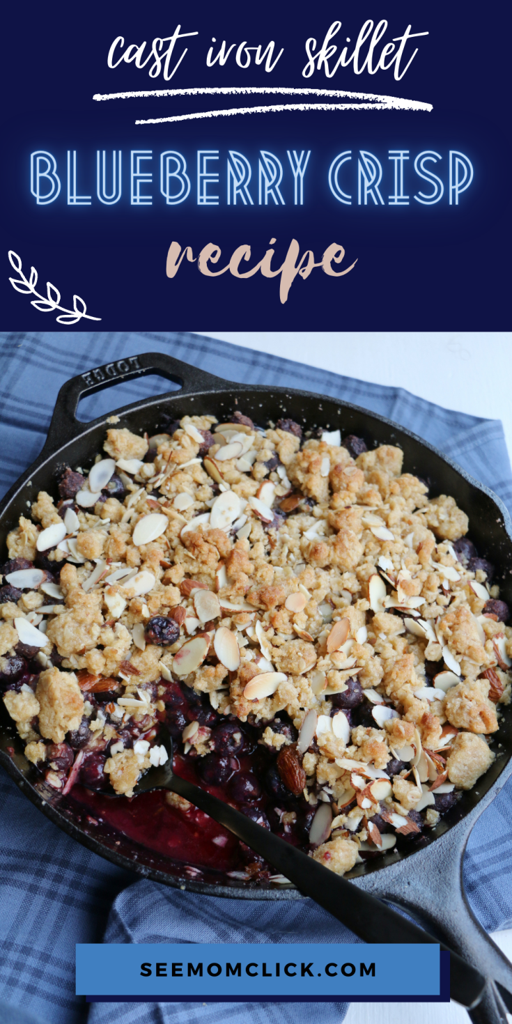 Tagapple Blueberry Crisp In Cast Iron Skillet