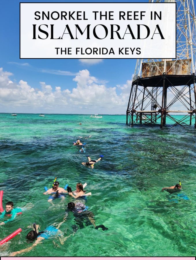 Amazing Snorkeling in Islamorada in The Florida Keys
